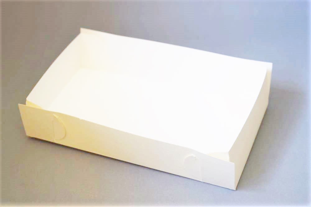 BANDEJA PARA COMPLETOS / HOT DOGS (100 Unidades)3