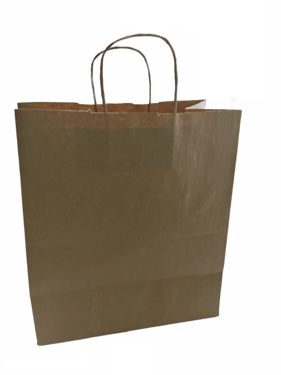 BOLSA DE PAPEL KRAFT CON MANILLA (10 unidades)1