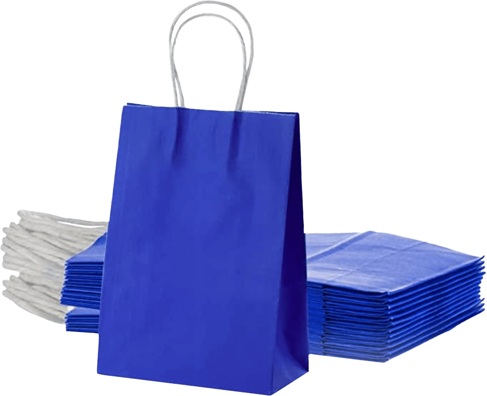 BOLSA DE PAPEL COLOR CON MANILLA (10 unidades) 1