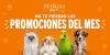 https:  ct petandgo store.bsalemarket.compromociones agosto