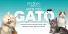https:  ct petandgo store.bsalemarket.commes del gato