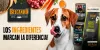 https:  ct petandgo store.bsalemarket.combelcando