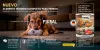 collection feral perro