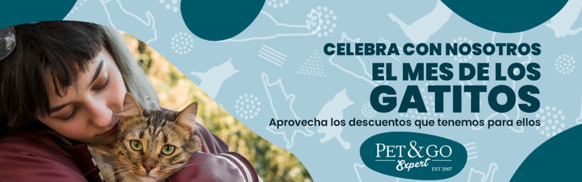 collection promo agosto