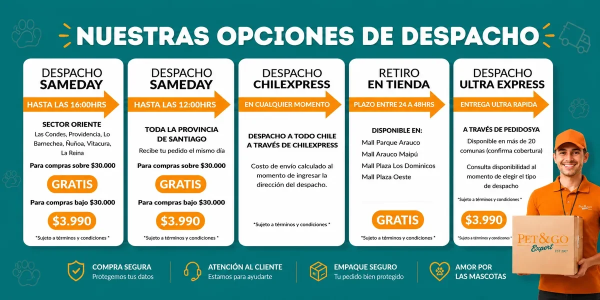 imagen 2026 08 07 1101570357461.webp