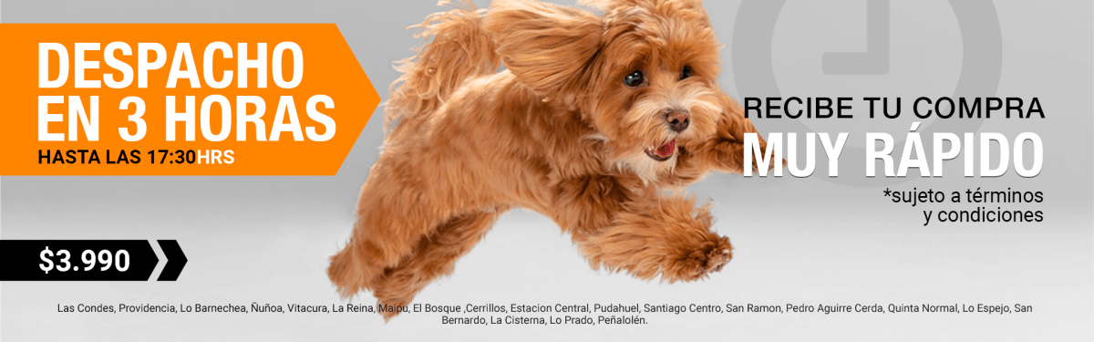 https:  ct petandgo store.bsalemarket.com article despacho ultra express