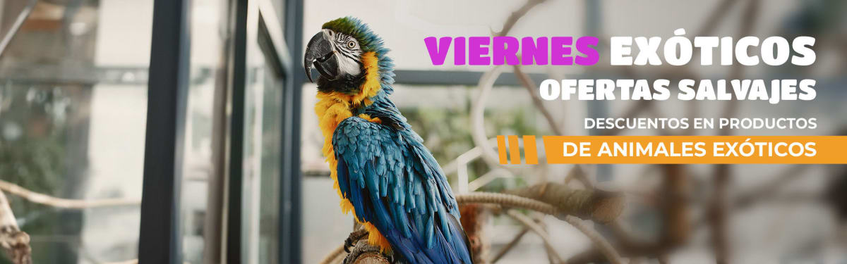 viernes3549
