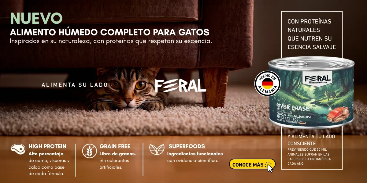 FERAL GATO
