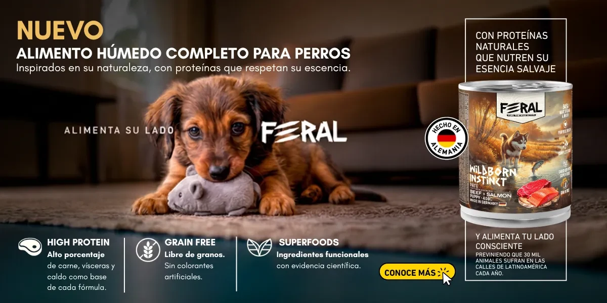FERAL PERRO