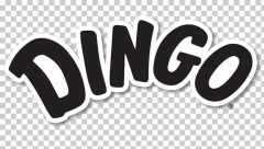 Dingo