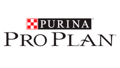 Pro Plan