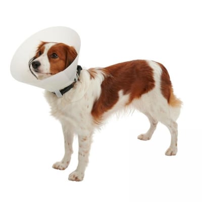 CUELLO BUSTER 40 CM