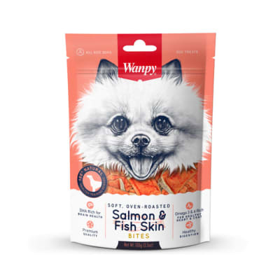 WANPY SALMON AND FISH SKIN 100GR