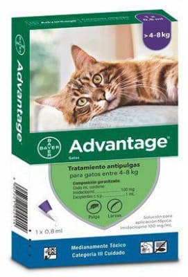ADVANTAGE PIPETA GATO 4 - 8 KG