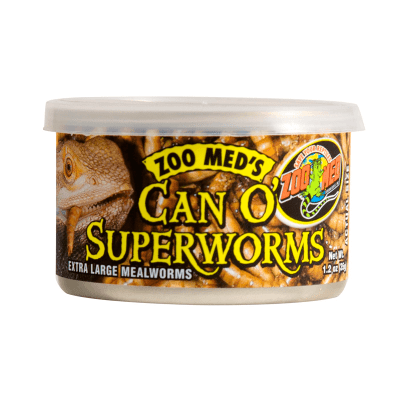 INVERTEB. CONSERVA ZOPHOBA MORIO