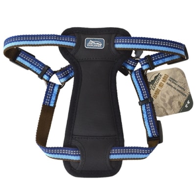 COASTAL K9 EXPLORER ARNES ACOLCHADO ZAFIRO