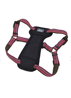 COASTAL K9 EXPLORER ARNES ACOLCHADO GUINDA1