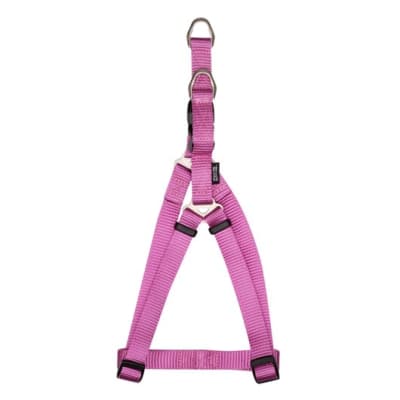 ZEUS ARNES FIGURA EN A. FUCSIA