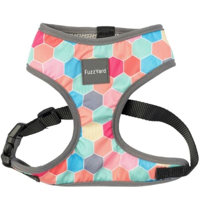 FUZZYARD HARNESS - THE HIVE1