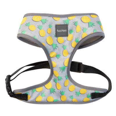 FUZZYARD HARNESS - PINA COLADA1