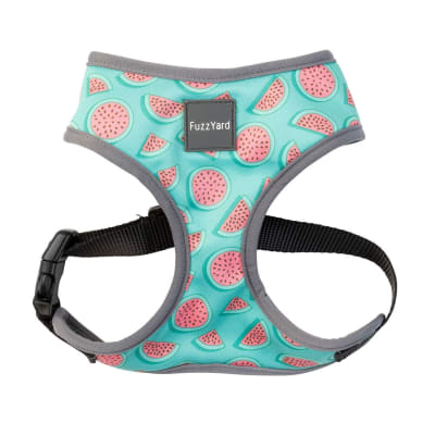 FUZZYARD HARNESS - SUMMER PUNCH1