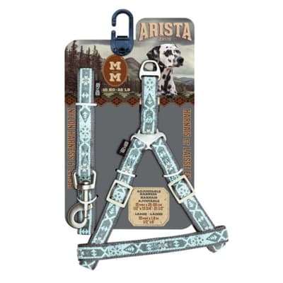 ZEUS ARISTA ARNES TRAILLA JAZZ1