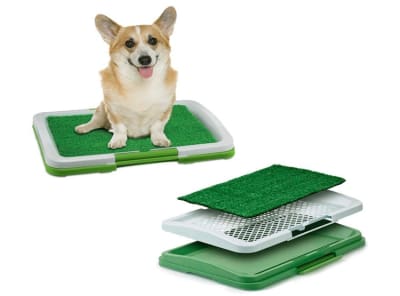 BAÑO PARA PERRO PEQUEÑO