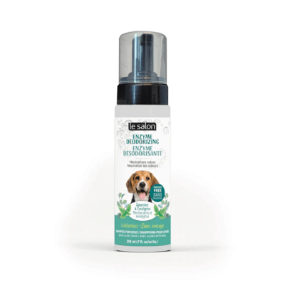 LE SALON SHAMPOO DESODORIZANTE 210 ML