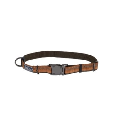 COASTAL K9 EXPLORER COLLAR NARANJA1
