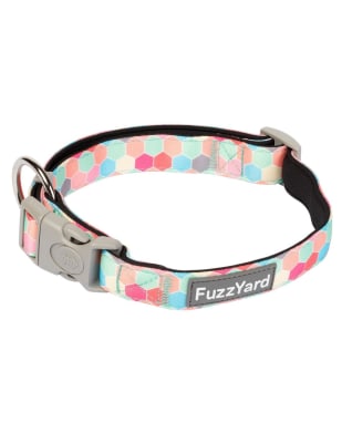 FUZZYARD DOG COLLAR - THE HIVE