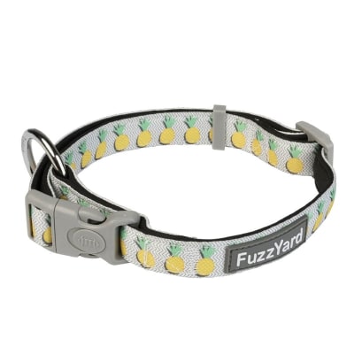 FUZZYARD DOG COLLAR - PINA COLADA1