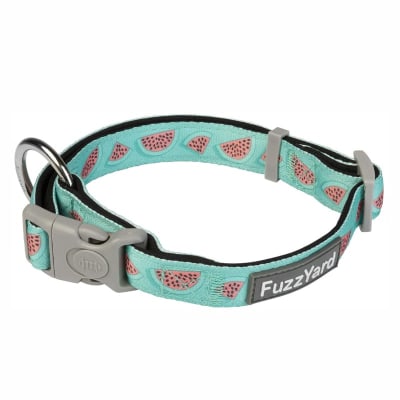 FUZZYARD DOG COLLAR - SUMMER PUNCH1