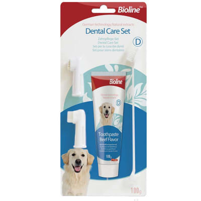 DENTAL HYGIENE SET CARNE