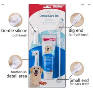 DENTAL HYGIENE SET POLLO