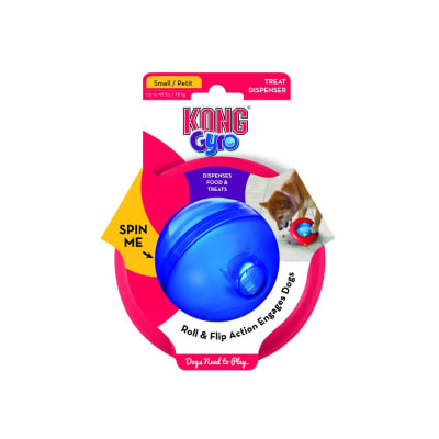 KONG GYRO1