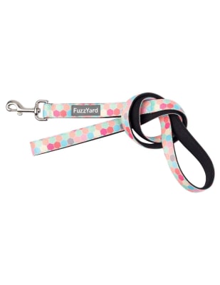 FUZZYARD DOG LEAD - THE HIVE