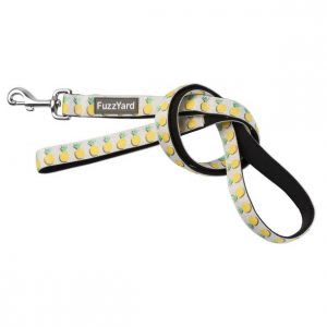 FUZZYARD DOG LEAD - PINA COLADA1