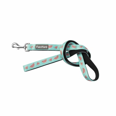 FUZZYARD DOG LEAD - SUMMER PUNCH1