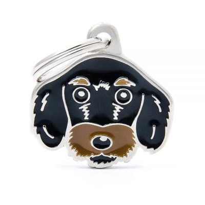 BLACK AND TAN WIRE-HAIRED DACHSHUND