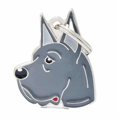 BLUE GREAT DANE