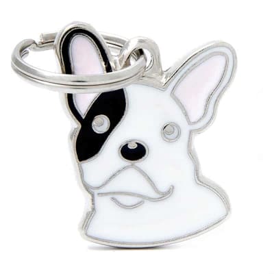 BROWN FRENCH BULLDOG1