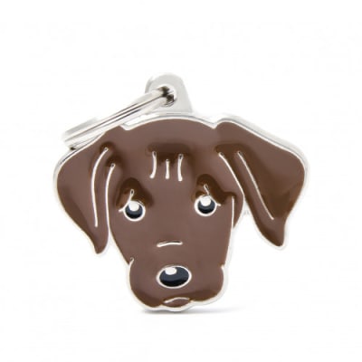 CHOCOLATE LABRADOR