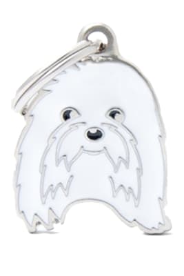 MALTESE1