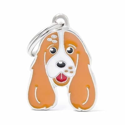 ORANGE AND WHITE ENGLISH COCKER1