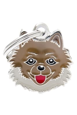 POMERANIAN