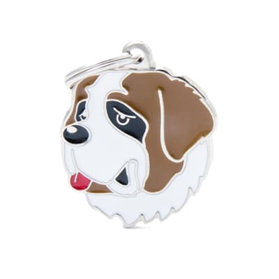 SAINT BERNARD1