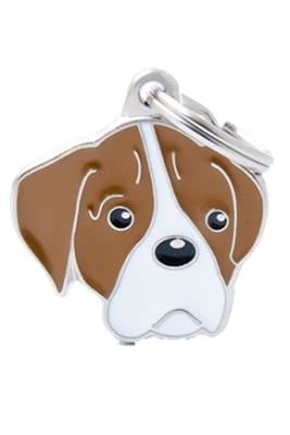 WHITE AND BROWN BOXER1