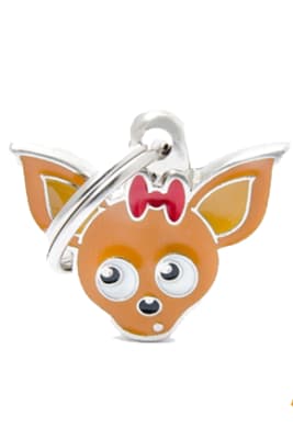 CHOCOLATE CHIHUAHUA1