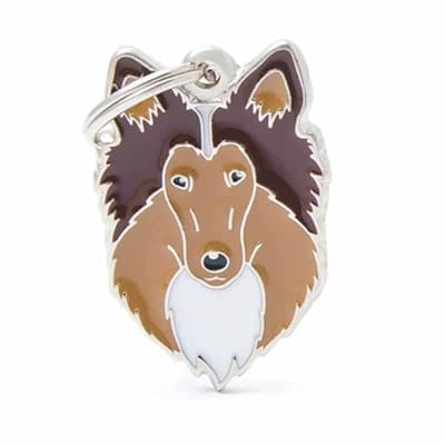 COLLIE