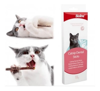 CATNIP DENTAL STICK